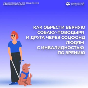 Как жителям Херсонской области бесплатно получить собаку-проводника в Социальном фонде