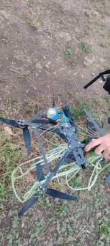 � �������������� ������ �������� ������� ����� ������������ �� ����������
