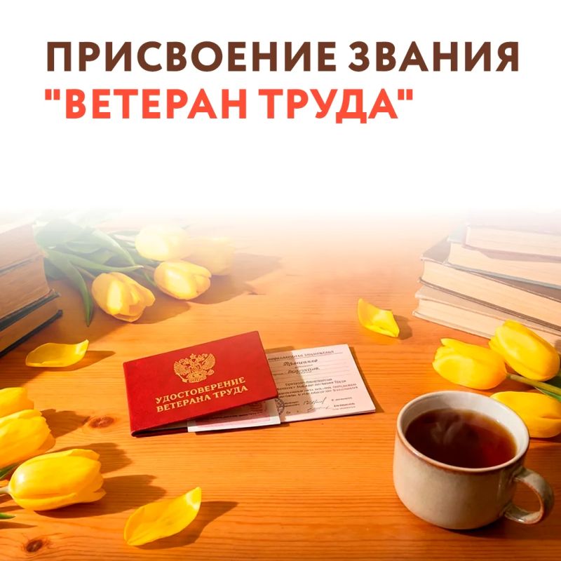Статус «Ветеран труда» начали оформлять в МФЦ Херсонской области