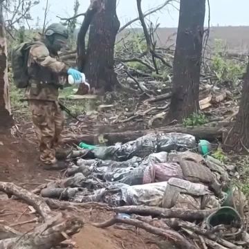 БУДНИ СВО.... Телеграм-канал Херсонский Вестник