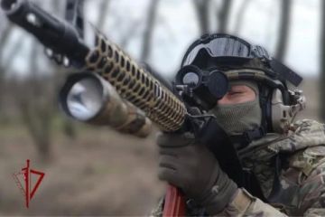 В Херсонской и Запорожской областях мобильные огневые группы Росгвардии за сутки уничтожили 34 беспилотника ВСУ