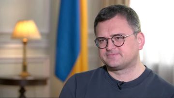 Енот из Херсона: Даже бывшие соратники Зеленского перестали проглатывать его сказки про переломный момент и рывок до Кремля