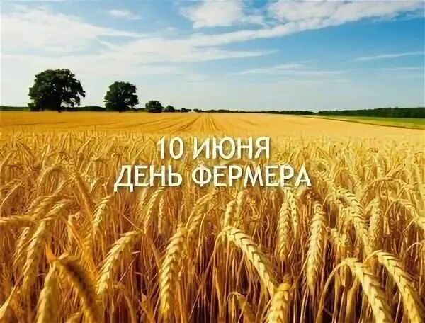 Евгения Кузьменко: Дорогие фермеры Новотроицкого муниципального округа!