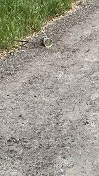 ��� ����� ��������� ����������� ����� � ���������� �������
