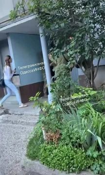 "�����" �������� �������
