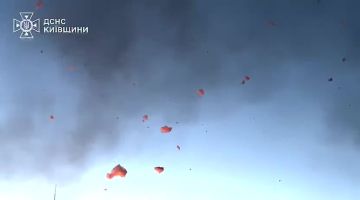 Киевщина: Спасатели ликвидировали пожар на площади 2000 кв.м, возникший в результате удара БпЛА по объекту инфраструктуры в Бориспольском районе