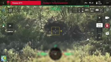 ������ ���������� ���� 40 ����������� ������� ������� ������ ����������� ����� "������" �� ����������� ����� ���� ���������� �� ����������� �����������