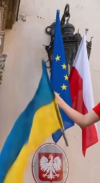 Кандидат в мэры Кракова опубликовала ролики, в которых она выбрасывает флаги Украины и ЕС в мусорники