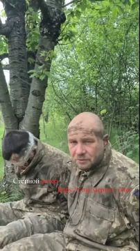 Уходили в СЗЧ, но что-то пошло не по плану