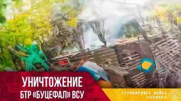 ��� �� ������� ������: ����������� ������������ ����������
