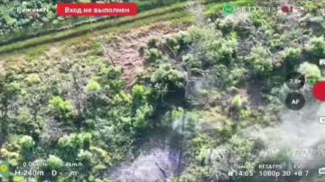 Прямое включение с Запорожского направления, очередная группа ВСУ уничтожена в посадке