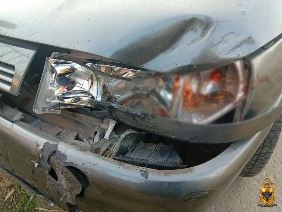 В Новотроицком округе 13-летний велосипедист пострадал в ДТП