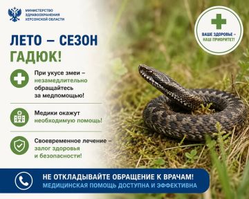 Лето — время повышенной активности змей