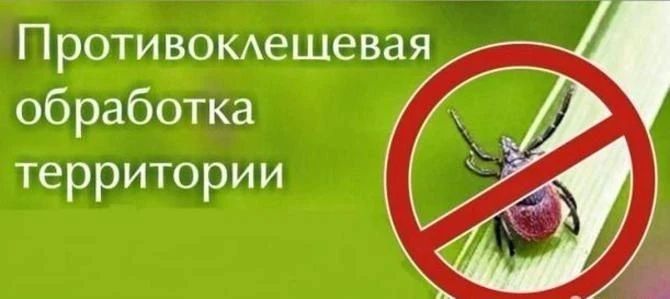 Надежда Бабешко: Уважаемые жители Ивановки!