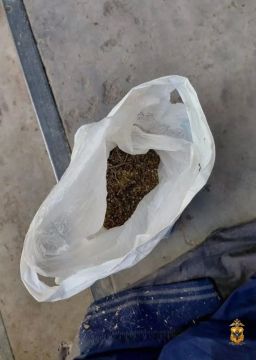 В Чаплынском округе Херсонской области сотрудники полиции провели операцию, в ходе которой был задержан 45-летний мужчина, у которого был обнаружен пакет с марихуаной