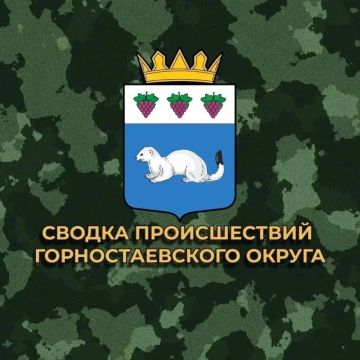 За период с 14 по 15 июня зафиксировано 104 обстрела, из них 39 атак БПЛА и 65 артиллерийских ударов по участкам местности Горностаевского МО