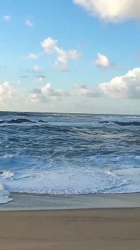 � ���������� ������� 15 ���� ��������� ����� � ������� �����