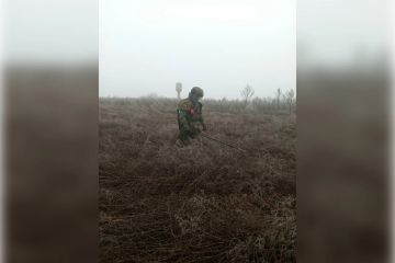 ������ ����������� � ���������� ������� ���� ��� ��������