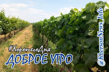 Добро утро, друзья!. Пусть ваше утро будет спокойным, без суеты, и подарит душевное равновесие