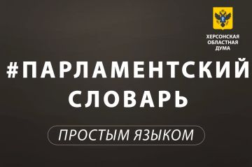 Парламентский словарь: государственная программа