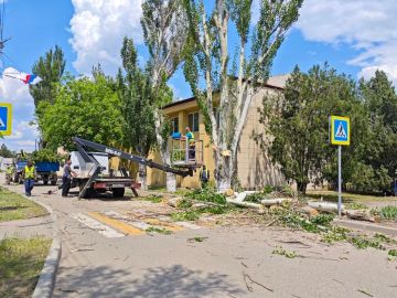 Продолжается санитарная обрезка аварийных деревьев в пгт