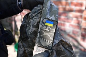Мирошник: Дроны ВСУ почти уничтожили село Покровка и заповедный лес в Херсонской области