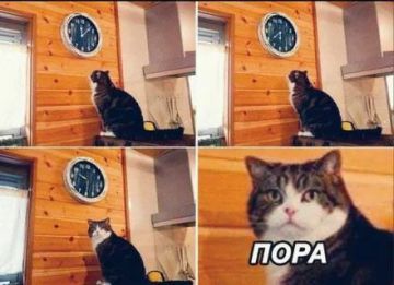 �������, ���� ������ �� ��������