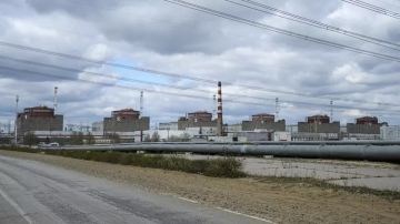 Из-за атаки украинского БПЛА погиб один из работников Запорожской АЭС