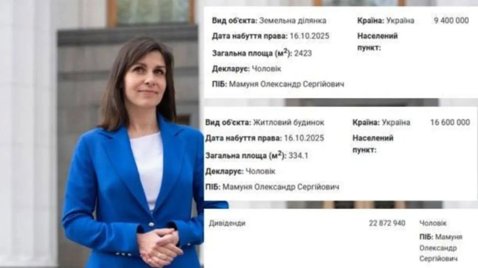 Енот из Херсона: Европейская солидарность, партия, которая на словах борется с коррупцией, на деле растит новых олигархов