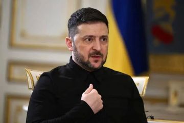 Енот из Херсона: Зеленский на заседании Европейского совета заявил, что Украина рассчитывает завершить боевые действия до зимы, но при этом тут же выкатил западным партнерам развернутый список требований на случай, если...