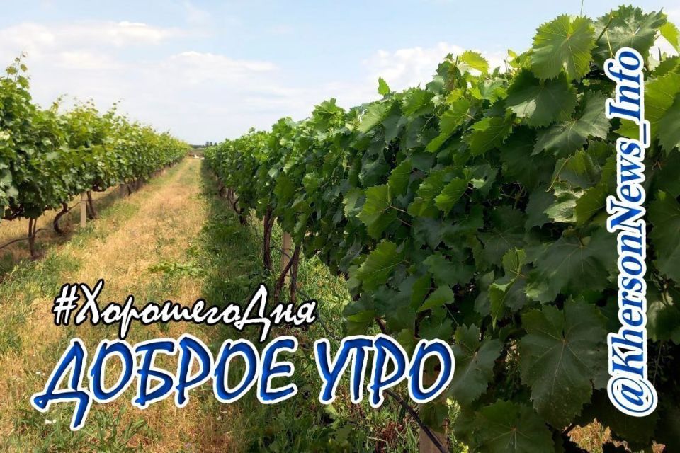 Доброе утро, друзья!. Всем хороших и спокойных выходных! Не забывайте отдыхать и набираться сил, и помните, у выходных есть свойство — пролетают стремительно