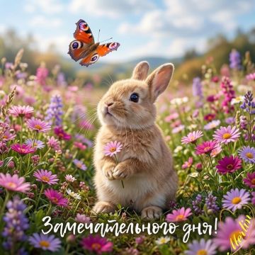 Всем приятных выходных, друзья!