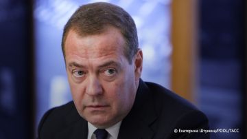 Отказом от польского ордена экс-президенты Украины признали, что они "реальные 100% нацисты", заявил Медведев в ответ на вопрос ТАСС