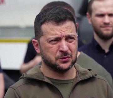 В Польше объяснили Зеленскому, почему лишили ордена, а Шрёдера — нет