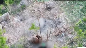 ���� �� �������: ��� ����������� �� ���������� ������������ �����
