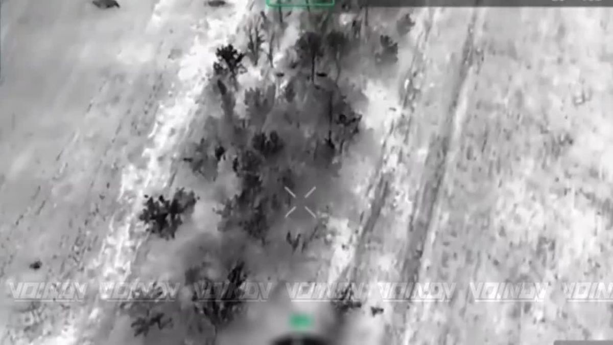 Очередная группа пехоты ВСУ теперь занимается "единением с природой" в одной из лесопосадок Запорожского направления