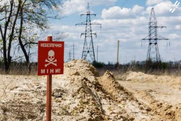 Разминирование по-украински: миллионы украли, поля не очистили