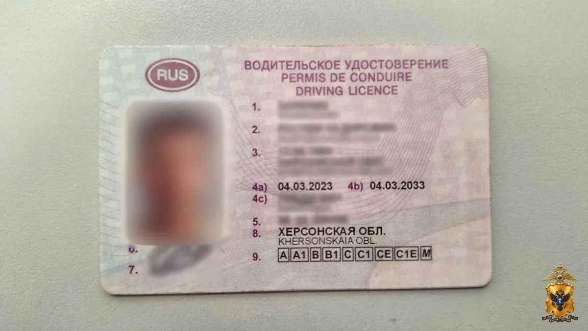 Житель Генического округа приговорен к ограничению свободы за использование поддельного водительского удостоверения