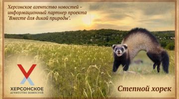 ХАН продолжает проект о редких обитателях Херсонской области