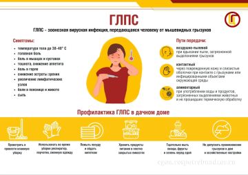 Чем опасна ГЛПС. Геморрагическая лихорадка с почечным синдромом (ГЛПС) – тяжёлое вирусное инфекционное заболевание