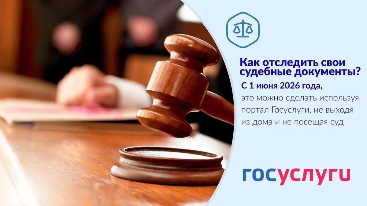 Следите за ходом своего судебного дела через «Госуслуги»