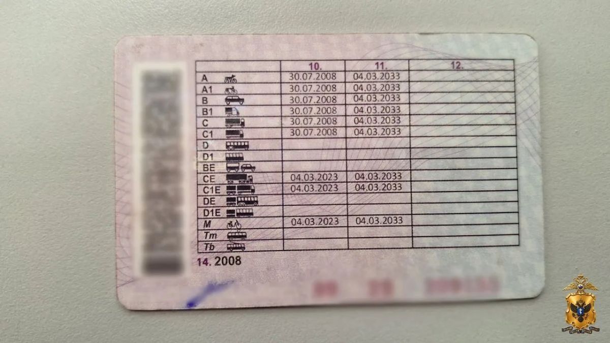 Житель Генического округа осуждён за использование поддельных прав — прокуратура