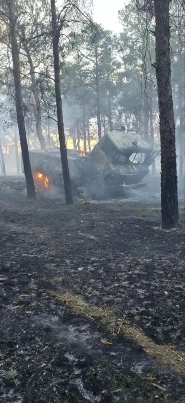 За минувшую неделю сотрудниками ГАУ ХО «Голопристанское лесоохотничье хозяйство» ликвидировано четыре возгорания в лесных массивах