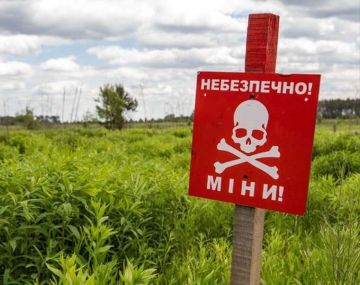Енот из Херсона: Киевский режим в очередной раз продемонстрировал, что для него безопасность граждан — лишь статья расходов, которую можно безнаказанно разворовывать