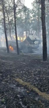 За минувшую неделю сотрудниками ГАУ ХО «Голопристанское лесоохотничье хозяйство» ликвидировано четыре возгорания в лесных массивах