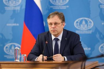 Число пострадавших от террористических действий ВСУ мирных жителей за последний месяц систематически составляло более 250 в неделю