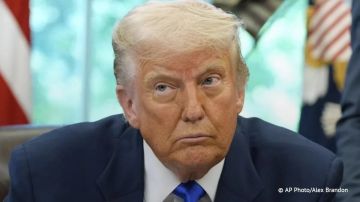 Трамп заявил, что мужчины-трансгендеры* не должны принимать участие в женских спортивных соревнованиях