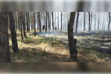 ������� ��������, �������� �����: ���������� ������� ������ �� ����������� ���� �������� ����������