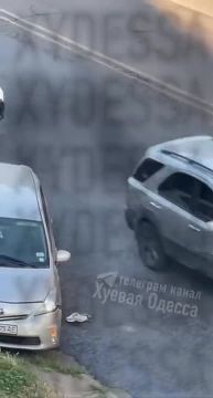 � ������ ��� ���������� �����������, �������� �������� ��� � �������� ��������