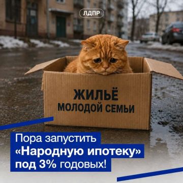���� ���� ��������� ������� ��� 3% �������!